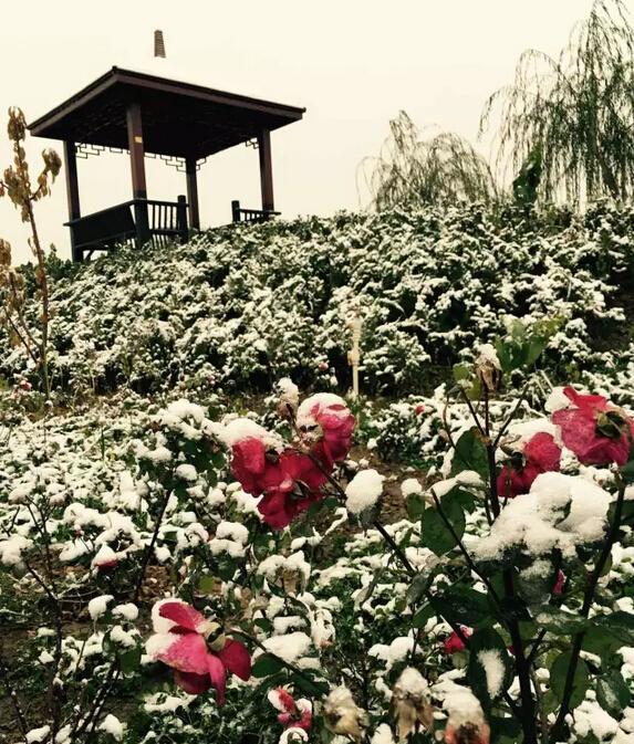 下雪天的躍迪集團(tuán)，咱也跟跟風(fēng)。。。