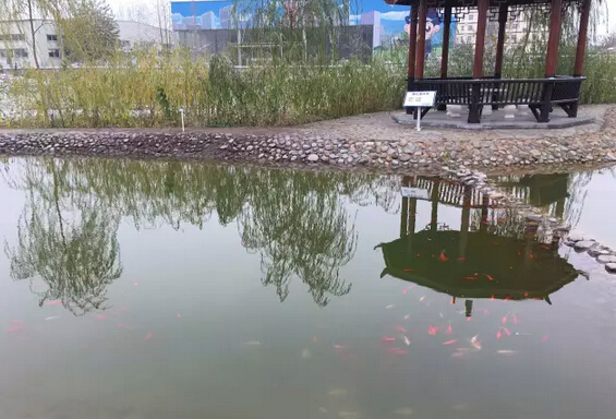 下雪天的躍迪集團(tuán)，咱也跟跟風(fēng)。。。
