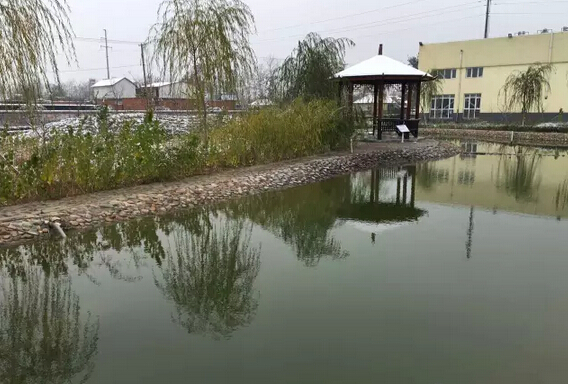 下雪天的躍迪集團(tuán)，咱也跟跟風(fēng)。。。