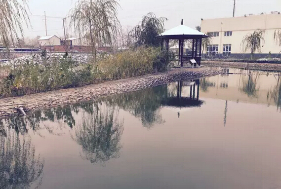下雪天的躍迪集團(tuán)，咱也跟跟風(fēng)。。。