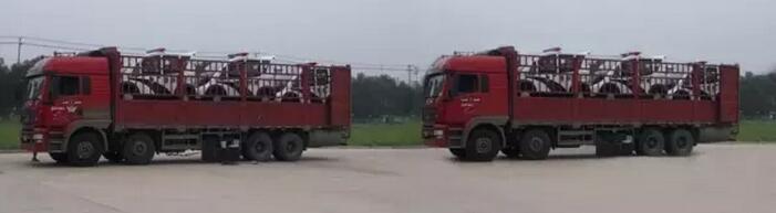 躍迪移動城管執(zhí)法站、躍迪電動巡邏車大批量發(fā)往首都北京——有躍迪，才安心