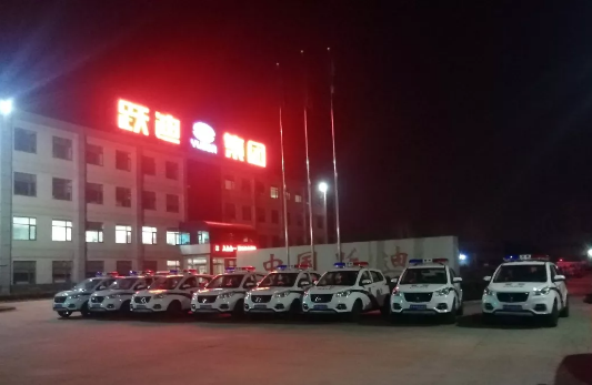 護(hù)航兩會(huì)，躍迪在行動(dòng)|躍迪電動(dòng)警用巡邏車(chē)海南執(zhí)勤，助力和諧兩會(huì)