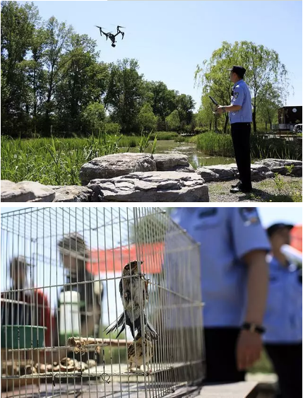 保護(hù)候鳥|躍迪移動警務(wù)室——北京首個濕地移動森林警務(wù)執(zhí)法站
